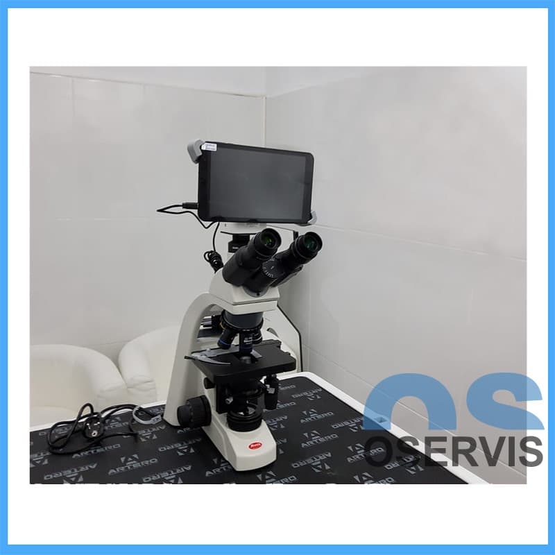 Microscopio preparado en un laboratorio veterinario