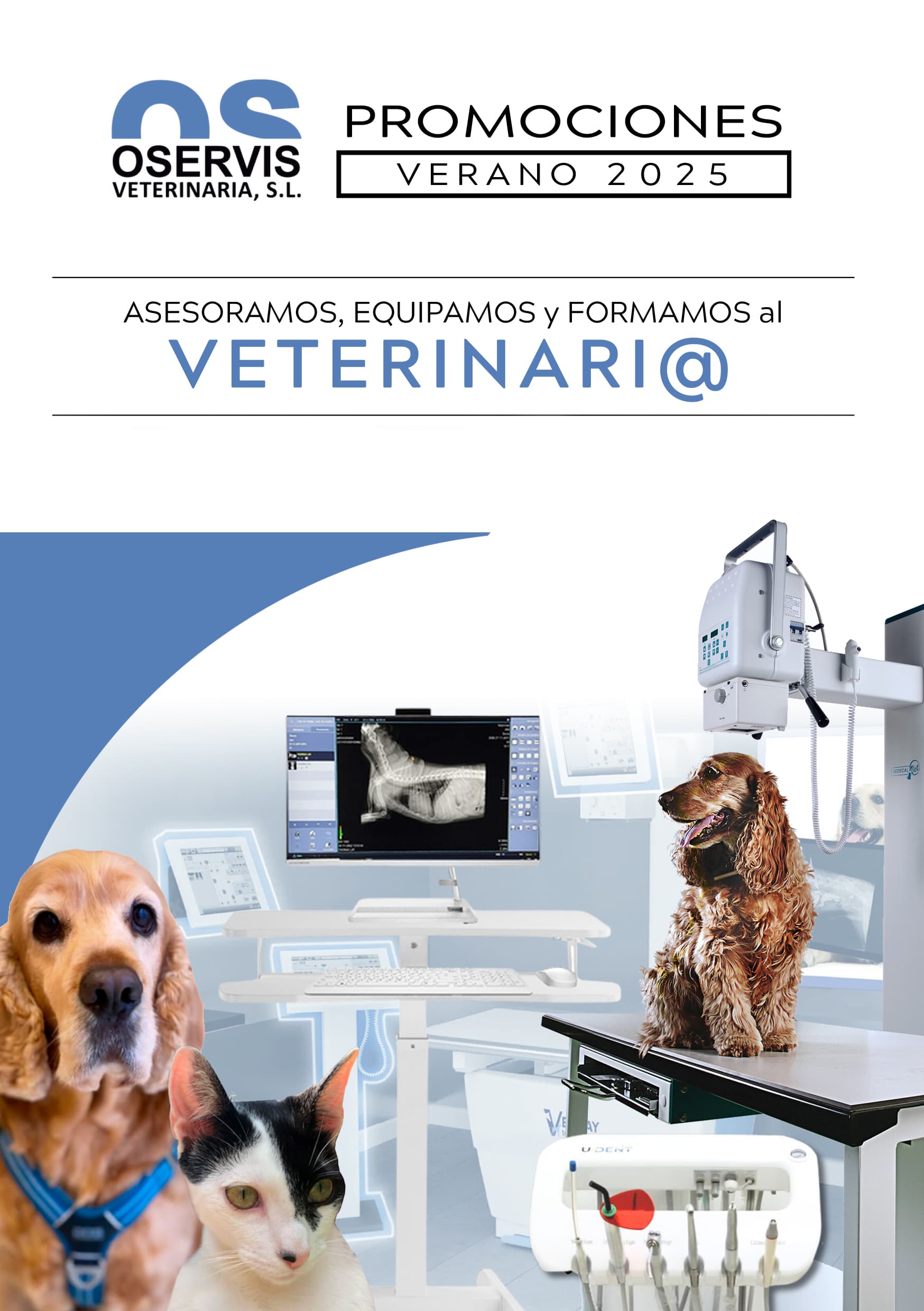 Portada de Catálogo de verano
