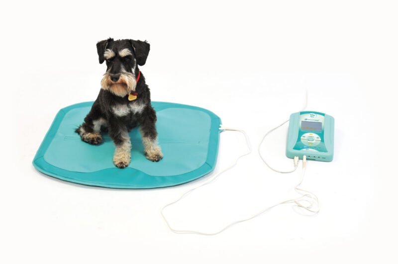 Veterinary pulsed magnetic therapy devices 4 scaled 1