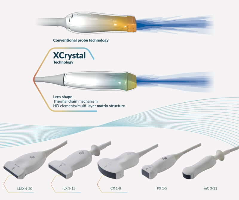 mylabx90 vet overview 5